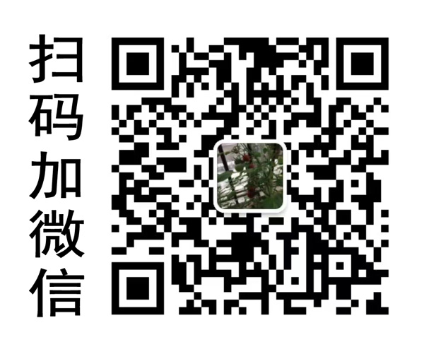 過濾器